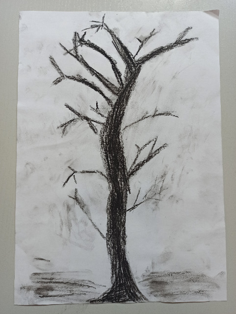 Studium drzewa - Obrazek 3