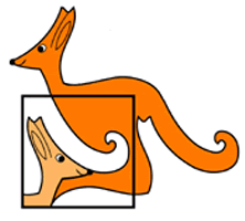 Zdjęcie kangura matematycznego.