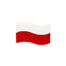 PRZYPINKA FLAGA POLSKI BIAŁO-CZERWONA 2,5x1,5cm Twojestroje.pl