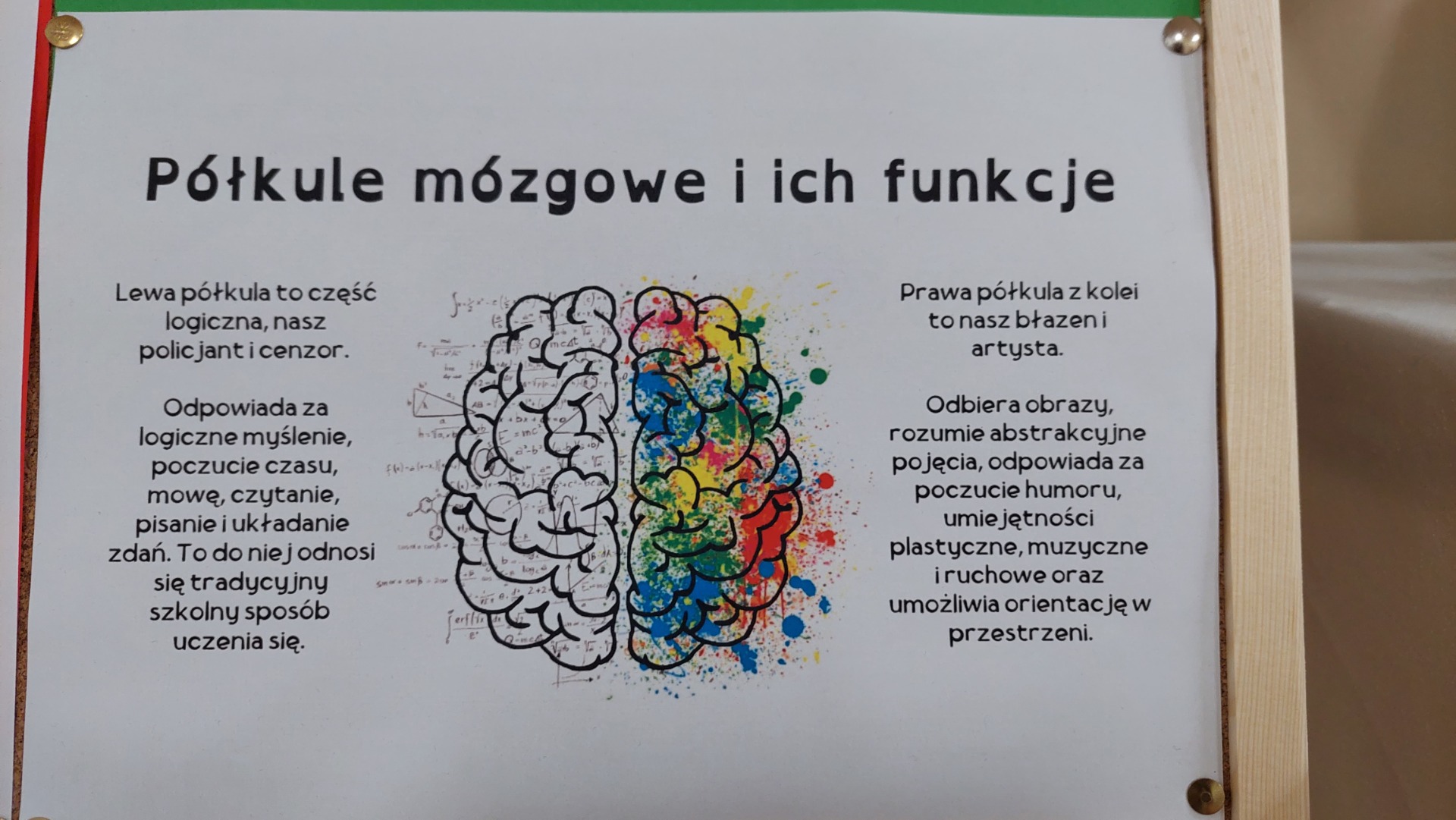 Światowy Tydzień Mózgu w naszej szkole - Obrazek 5