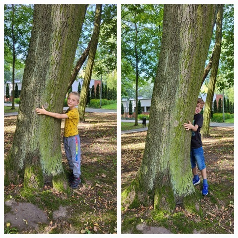 Przytul się do drzewa - Obrazek 5