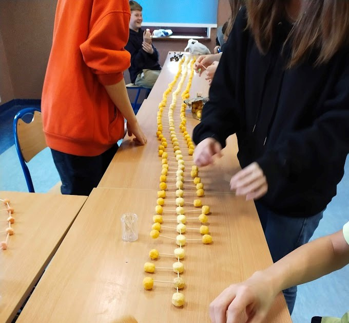 Uczniowie budujący długołańcuchowy model alkanu