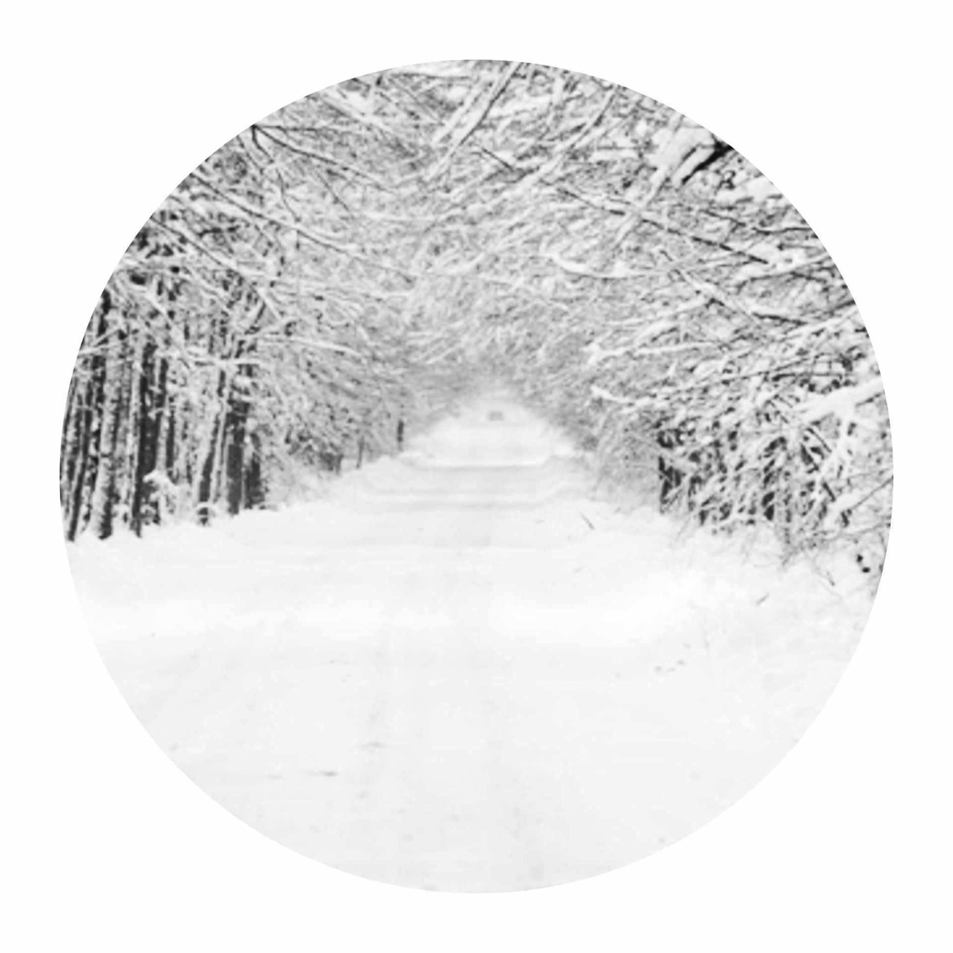 Zdjęcia zimowego krajobrazu wykonane i obrobione  przez uczniów