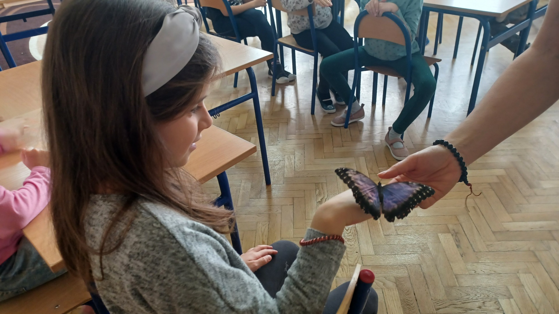Motyle w szkole - Obrazek 3