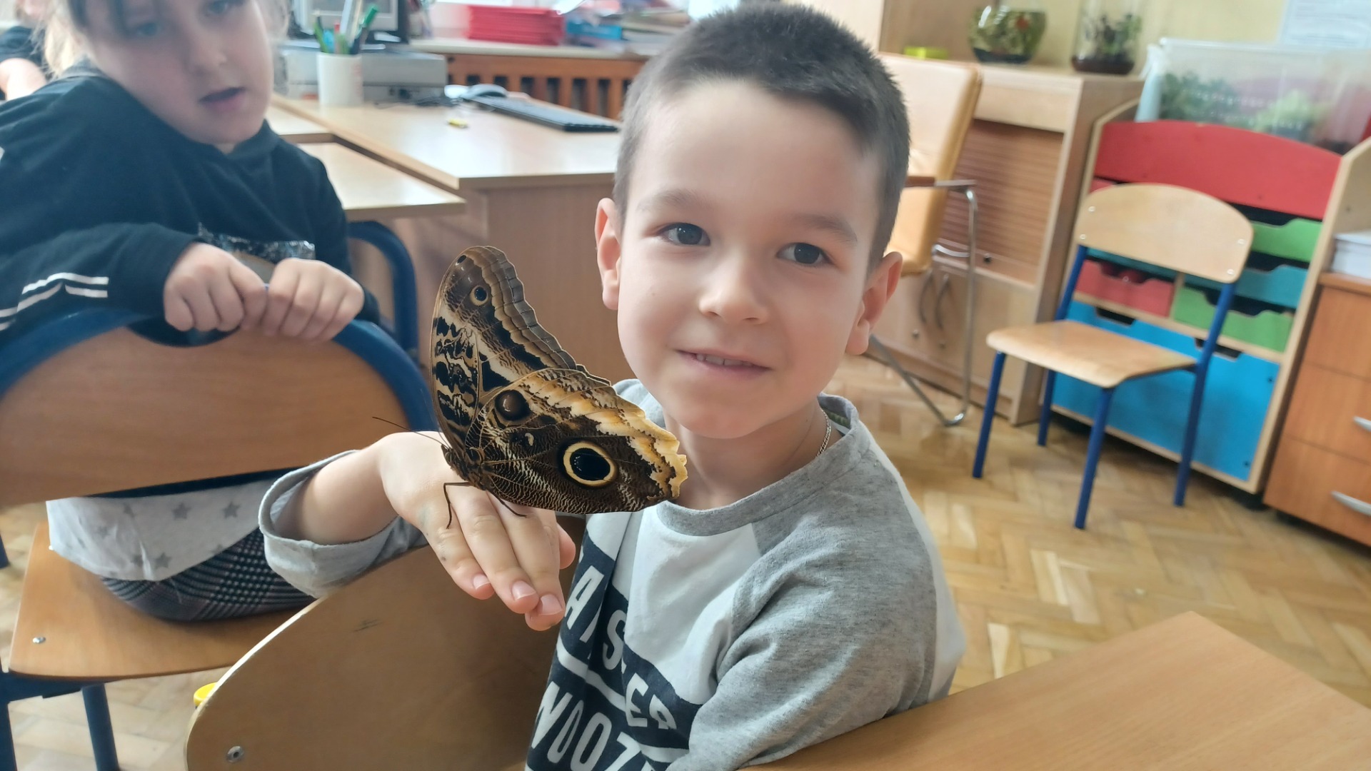 Motyle w szkole - Obrazek 5