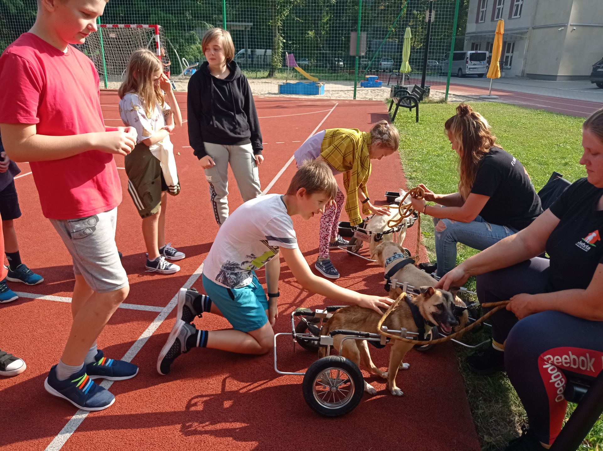 Uczniowie i uczeń głaskający psa na wózku.