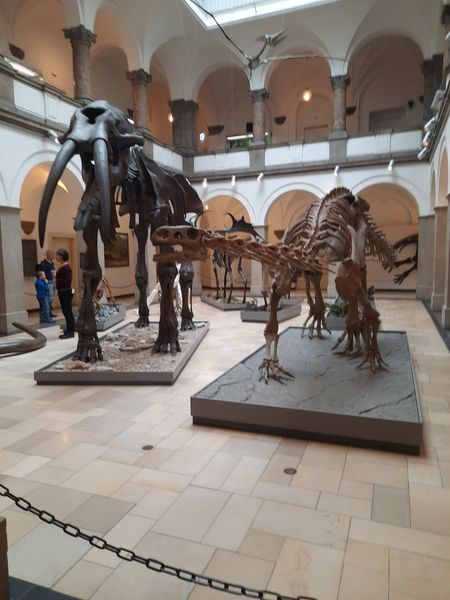 Das Paläontologische Museum - Bild 1