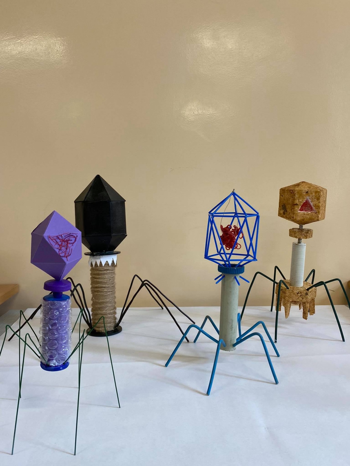 Modele bakteriofagów wykonane przez uczniów.