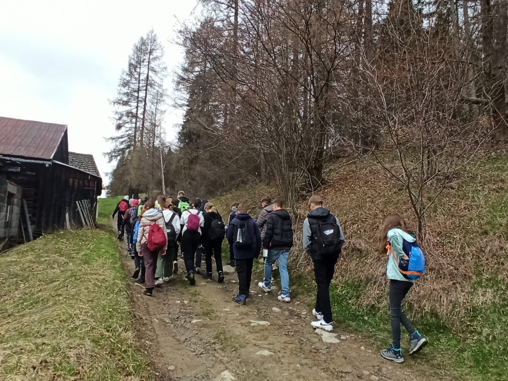 Grupa dzieci idzie szlakiem górskim na Bereśnik.